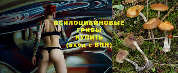 ALPHA PVP Белокуриха